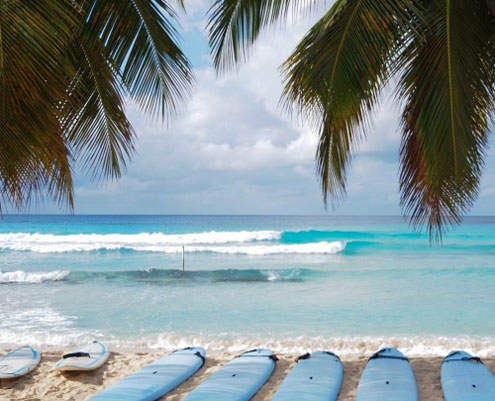 Group Surfing Lessons