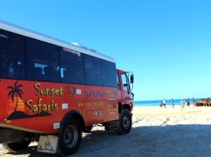 sunset safaris